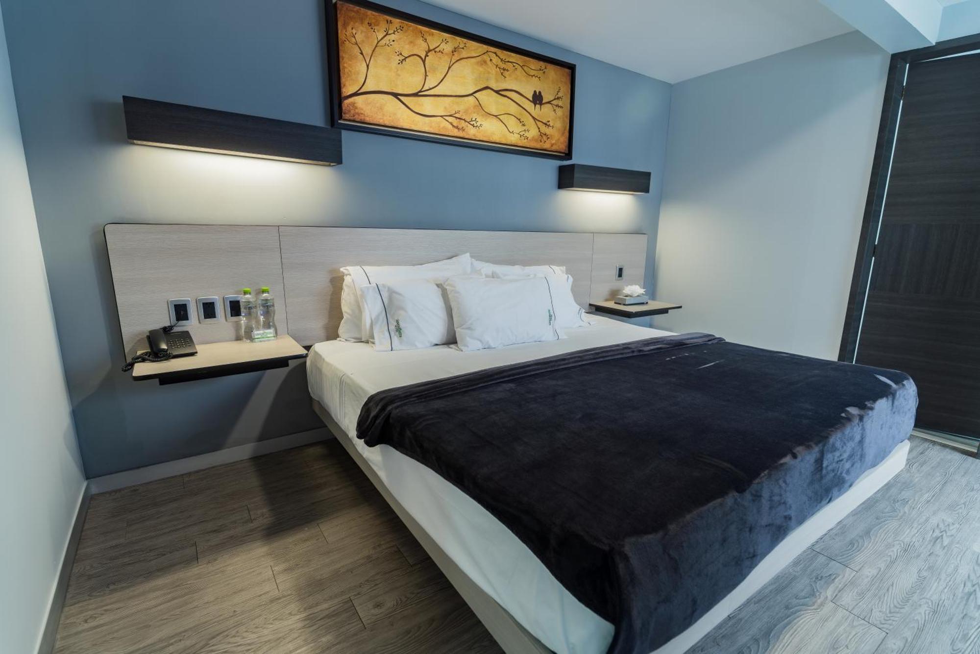 Hotel Lemon Green -Zona Expo Frente Al Centro De Convenciones Guadalajara Eksteriør billede